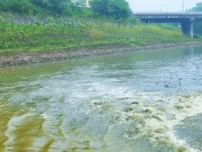 阜平污水清运多少钱